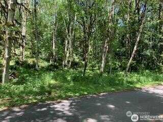 6145 Young Road NW, Olympia, WA 98502