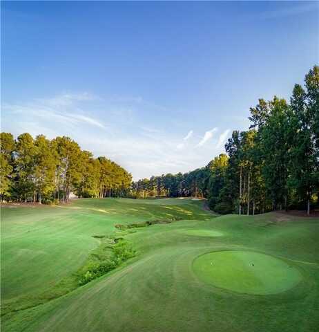 120 Hawks Court, Ball Ground, GA 30107