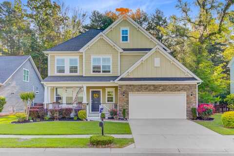 132 Daniels Ridge Drive, Summerville, SC 29485