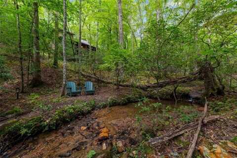421 Weeks Creek Road, Blue Ridge, GA 30513
