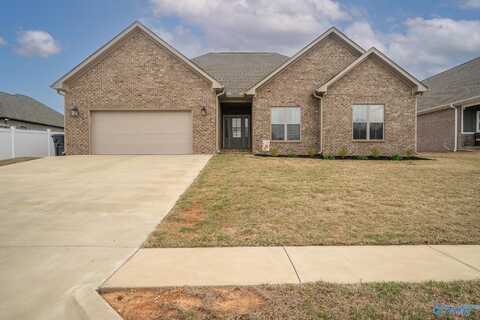 617 Ayden Mannon Street, Rogersville, AL 35652