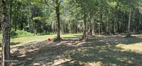 112 N Apple South Dr, Carriere, MS 39426