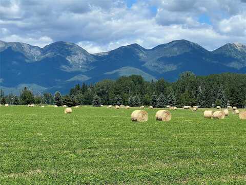 Tract 4 Sonstelie Road, Kalispell, MT 59901