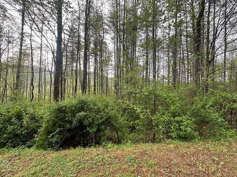 Lot 31 Cove at Flat Gap, Cullowhee, NC 28723