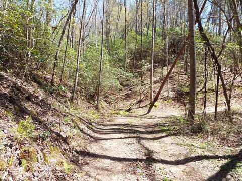 Fresh Water Ridge, Whittier, NC 28789