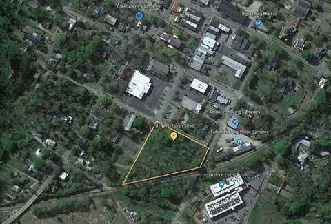 101 W North Street, Greensboro, GA 30642