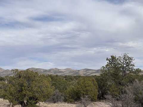 Lot 150 Pinon Springs, Magdalena, NM 87825