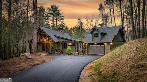 138 River, Cherry Log, GA 30522