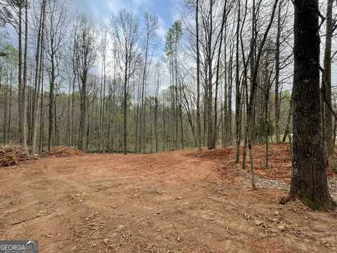 5743 Saddle Club, Gainesville, GA 30506