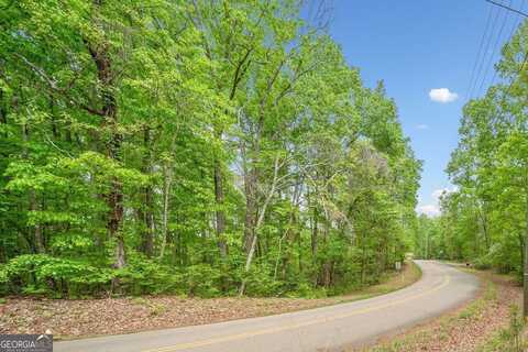 2022 Pleasant Union, Canton, GA 30114