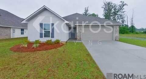 13779 Willowmore Dr, Denham Springs, LA 70726