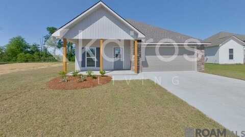 13733 Pinyon Dr, Denham Springs, LA 70726