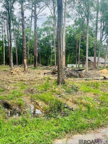 Tract F-1 Donald Dr, Denham Springs, LA 70726
