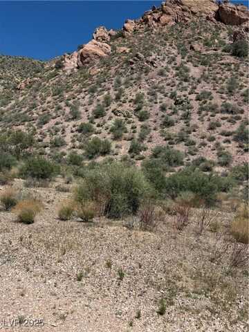 Carp Road, Caliente, NV 89008