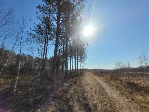Near KNOWLES RD, Loretta, WI 54896