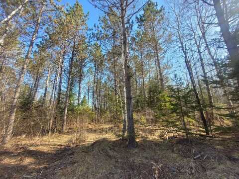 Near KNOWLES RD, Loretta, WI 54896