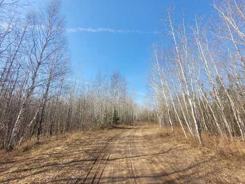 Near KNOWLES RD, Loretta, WI 54896