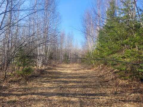Near KNOWLES RD, Winter, WI 54896