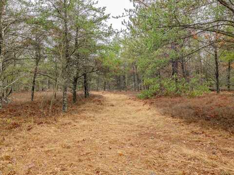 V/L Lemon Road, West Branch, MI 48661
