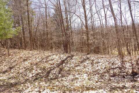 23042 Miramichi Drive, Evart, MI 49631