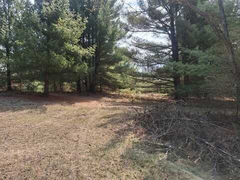 23-24 RIDGE Road, Evart, MI 49631