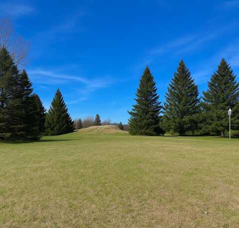 7216 Cessna Lane, Canadian Lakes, MI 49346