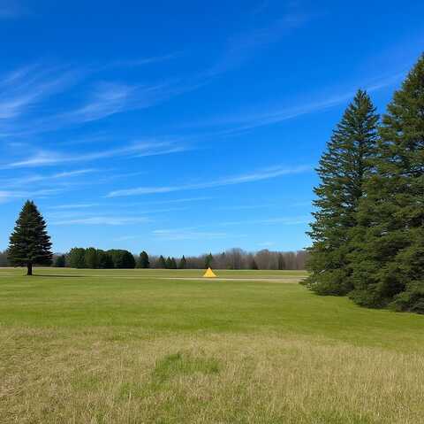 7216 Cessna Lane, Canadian Lakes, MI 49346