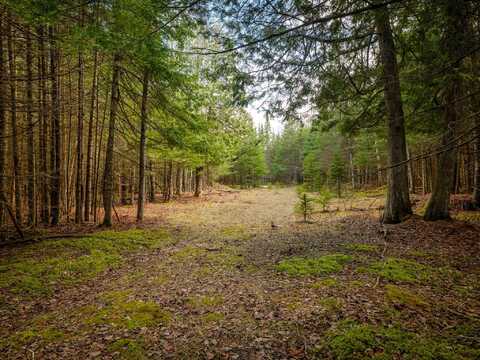 V/L Parkington Road, Gulliver, MI 49840