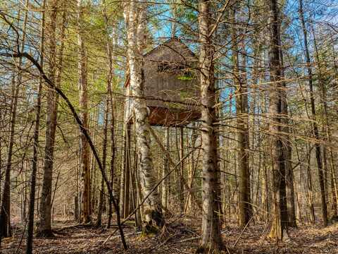 V/L Merwin Creek Road, Gulliver, MI 49840