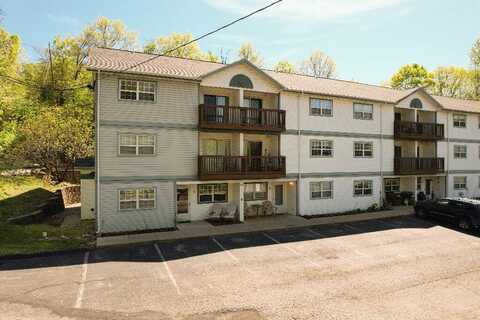 250 Berry Drive, Branson, MO 65616