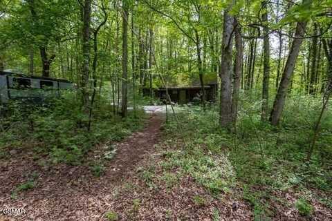 1524 Lin Creek Road, Sevierville, TN 37876