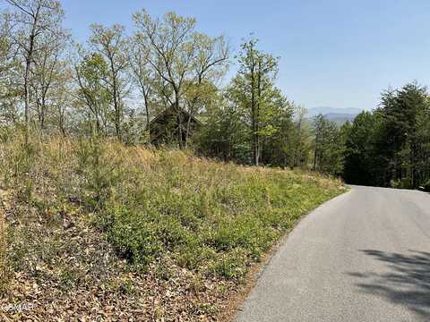 Lot 49 Cats Paw Lane, Sevierville, TN 37862