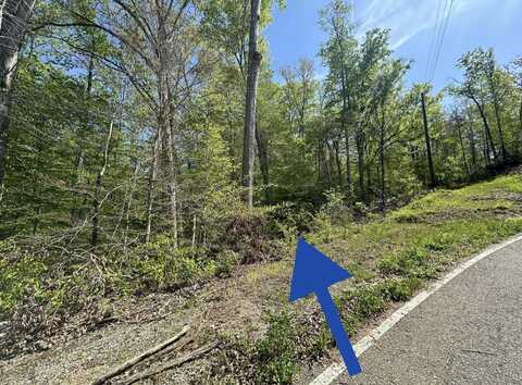 2728 Norton Road, Dandridge, TN 37725