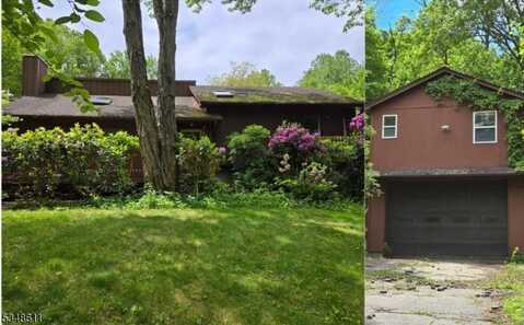 49 Mountain Rd, Roxbury Township, NJ 07852