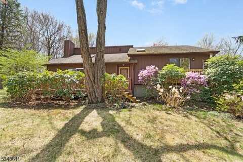 49 Mountain Rd, Roxbury Township, NJ 07852