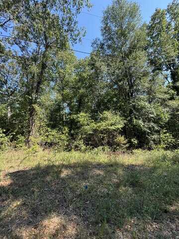 Lake Lurleen Rd, Coker, AL 35452