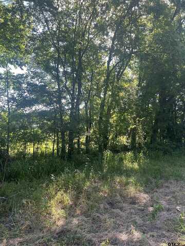 TBD N HWY 271, Talco, TX 75487