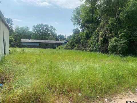 23602 Wateridge Loop, Flint, TX 75762