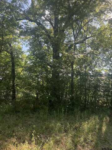 TBD N HWY 271, Talco, TX 75487