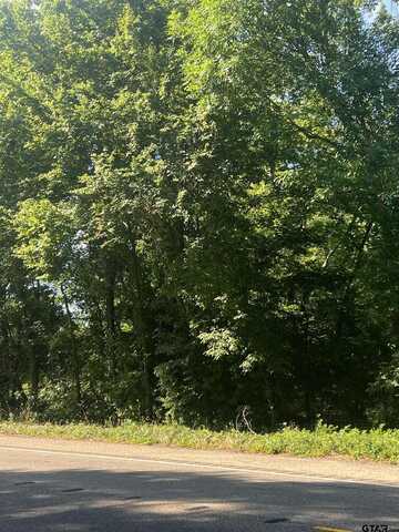 TBD N HWY 271, Talco, TX 75487