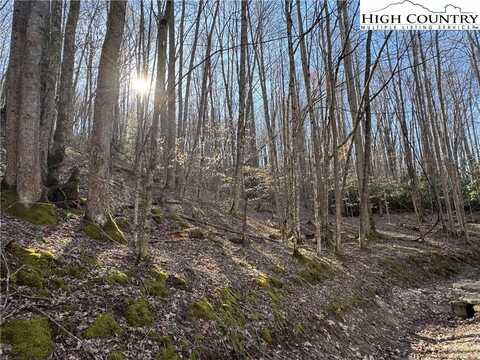 2 Lots Buckeye Ridge Road, Beech Mountain, NC 28604