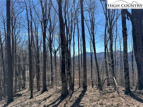 Tbd Double Head Mountain Road, Newland, NC 28657
