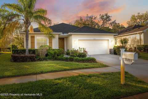 11254 Mollymawk Court, New Port Richey, FL 34654