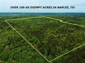 TBD CR 2742, Naples, TX 75568