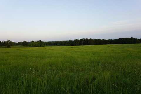71 PR 5208, Athens (area), TX 75751