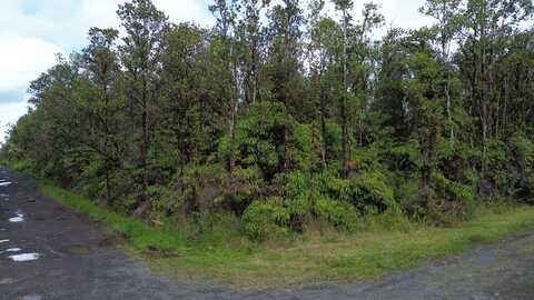 undefined, MOUNTAIN VIEW, HI 96771