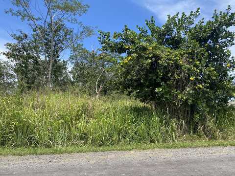 16TH AVE, KEAAU, HI 96749