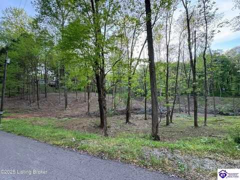 Lots 43,23,24A Walleye Way, Scottsville, KY 42164