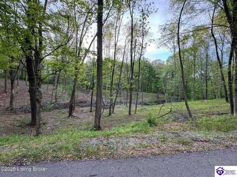 lots 45-46, 25- Walleye Way, Scottsville, KY 42164
