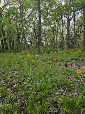 305 & 309 E Sugar Lake Drive, Mound City, KS 66055